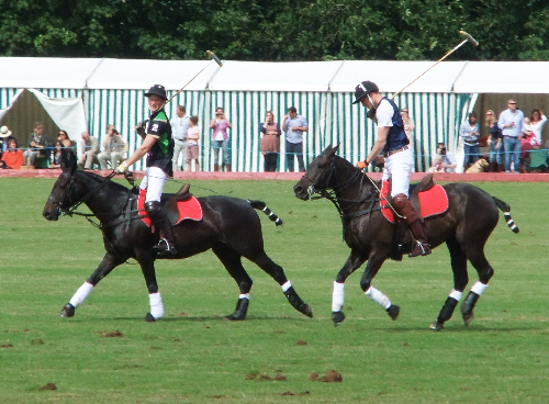 beaufort polo