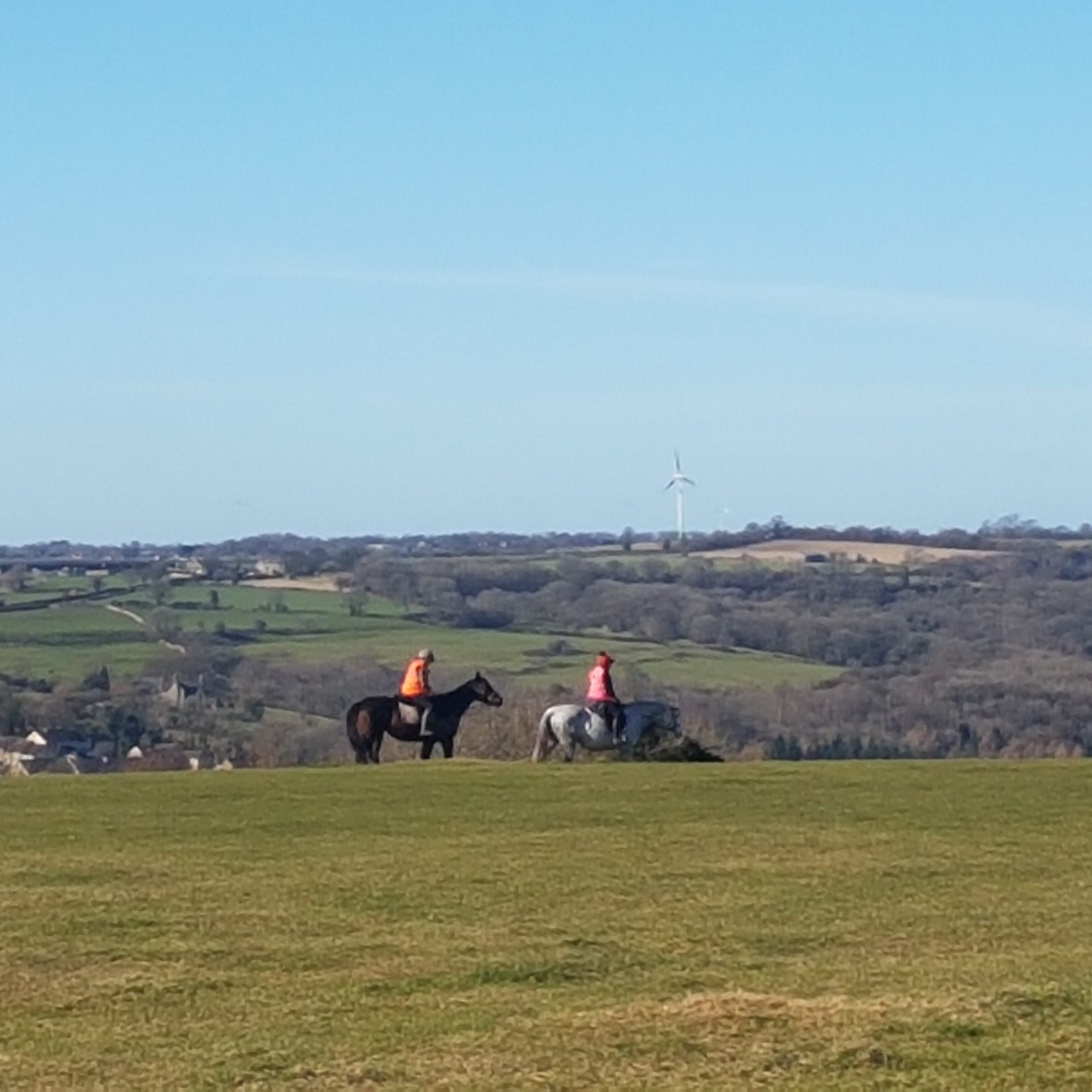 horse riding c