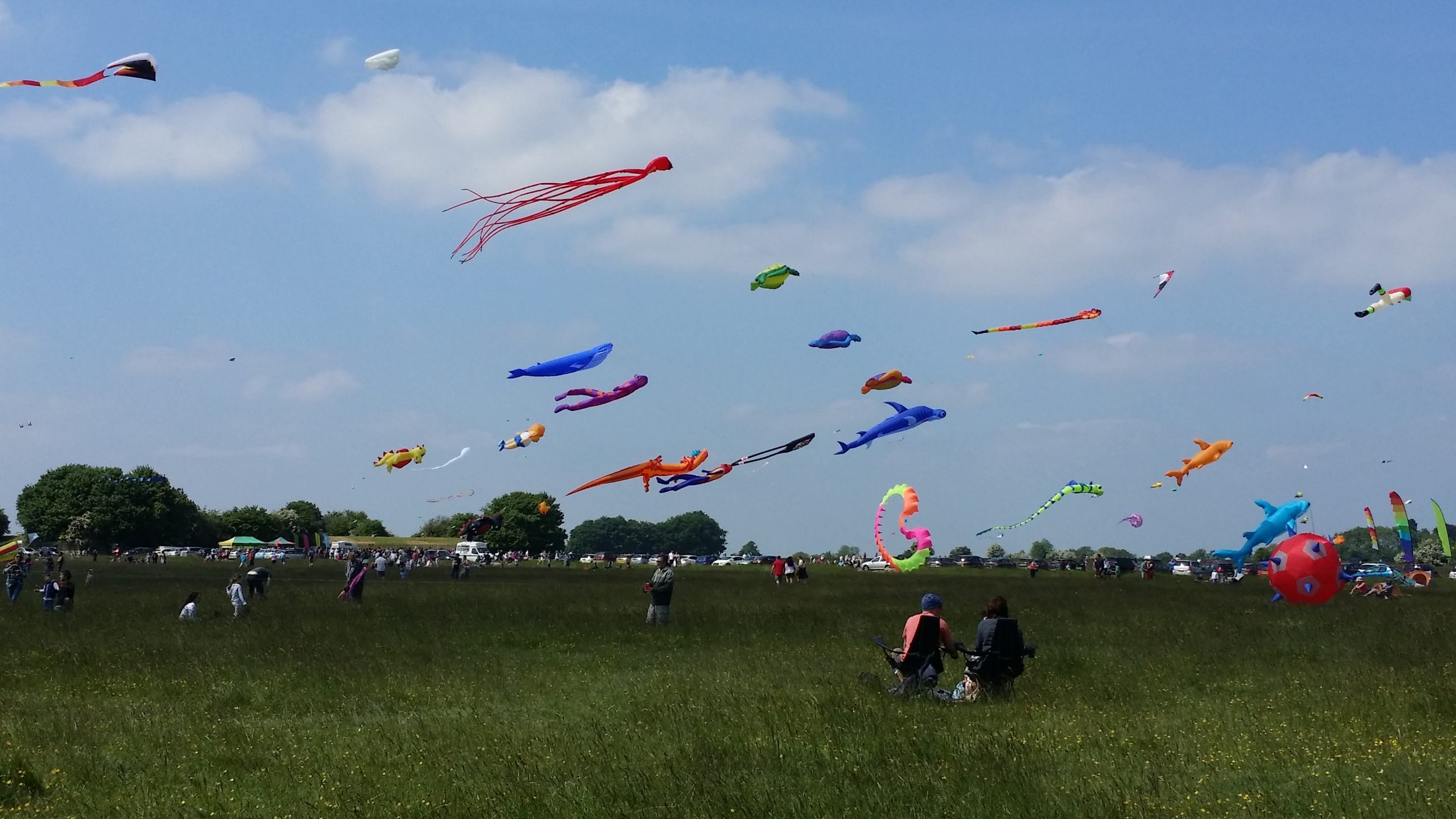 kite flying on Minchinhampton common 2
