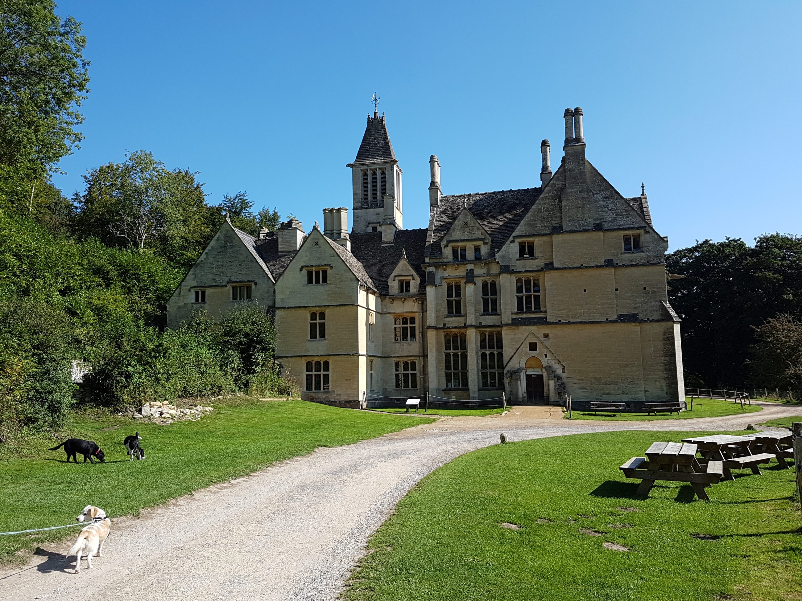 woodchester mansion (31)